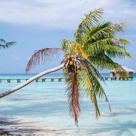 Sunset Hill Lodge Bora Bora Luaran gambar
