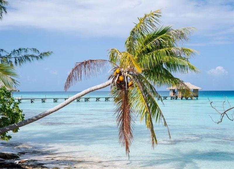 Sunset Hill Lodge Bora Bora Luaran gambar